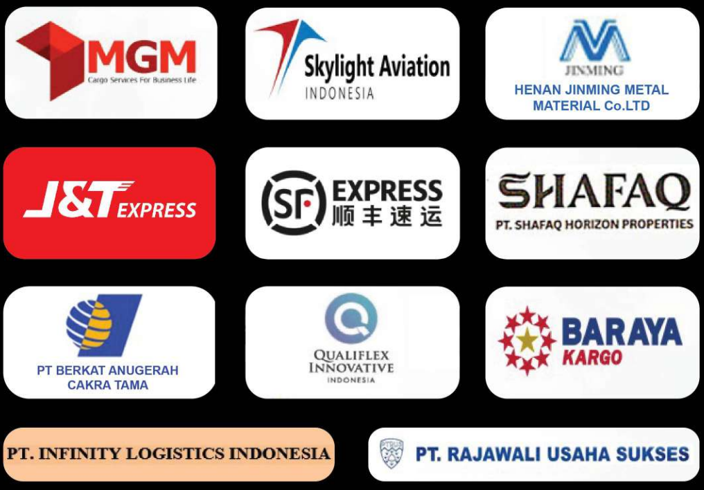 Partner Pegasus